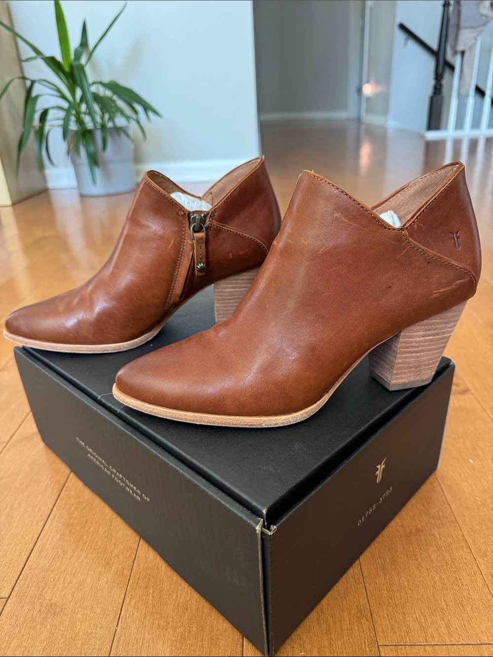 NWT Frye Reed Shootie Leather Booties in 8